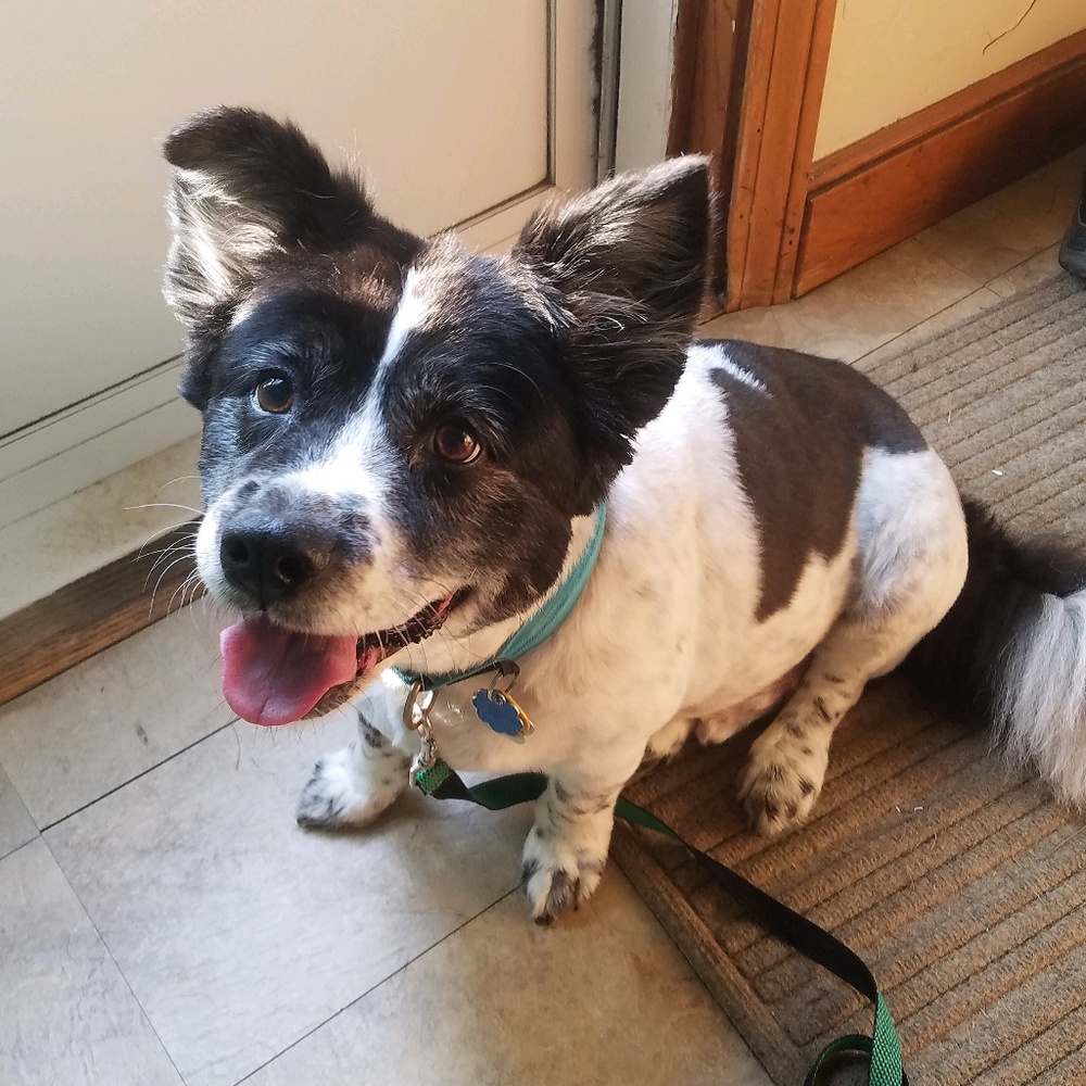 Meet your Posher, Kim